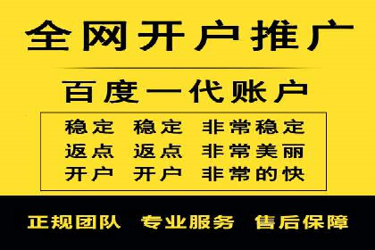 案例研究：百度推广托管助力电商品牌快速崛起